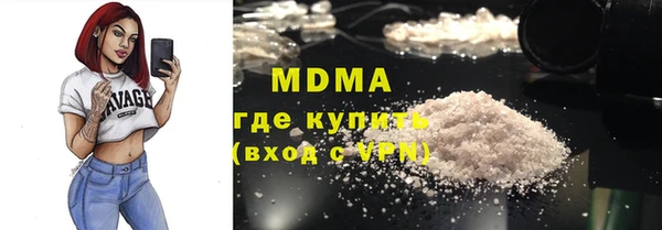 PSILOCYBIN Ельня