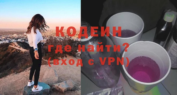 PSILOCYBIN Ельня