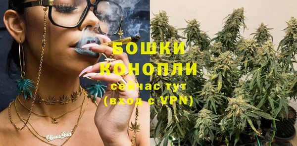 PSILOCYBIN Ельня