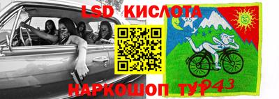 прущие крисы Камышлов