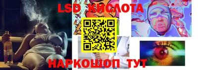 прущие крисы Камышлов