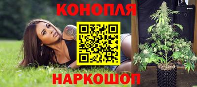 индика Кандалакша