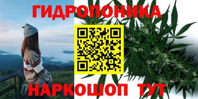 прущие крисы Камышлов