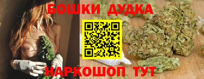 прущие крисы Камышлов
