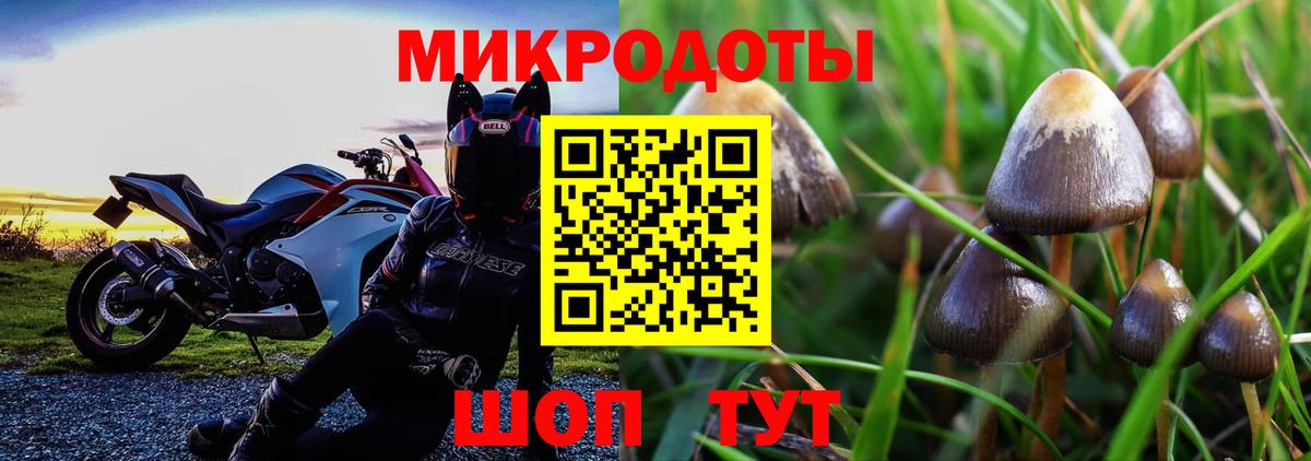 Галлюциногенные грибы Cubensis  Вход с VPN  Саянск 